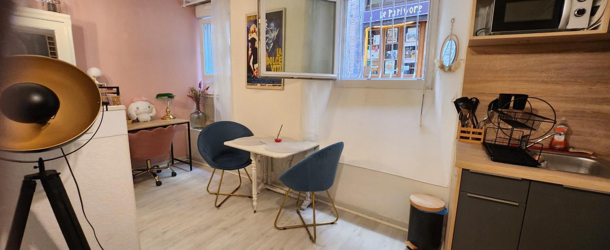 Appartement Hyper Centre Historique Toulouse Capitole Cosy Екстер'єр фото